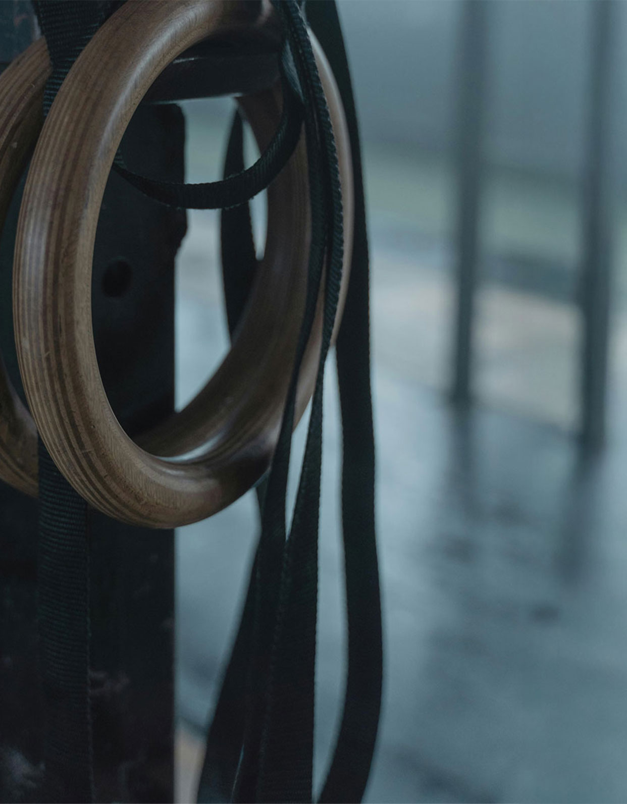 Gymnastic rings in a CrossFit gym